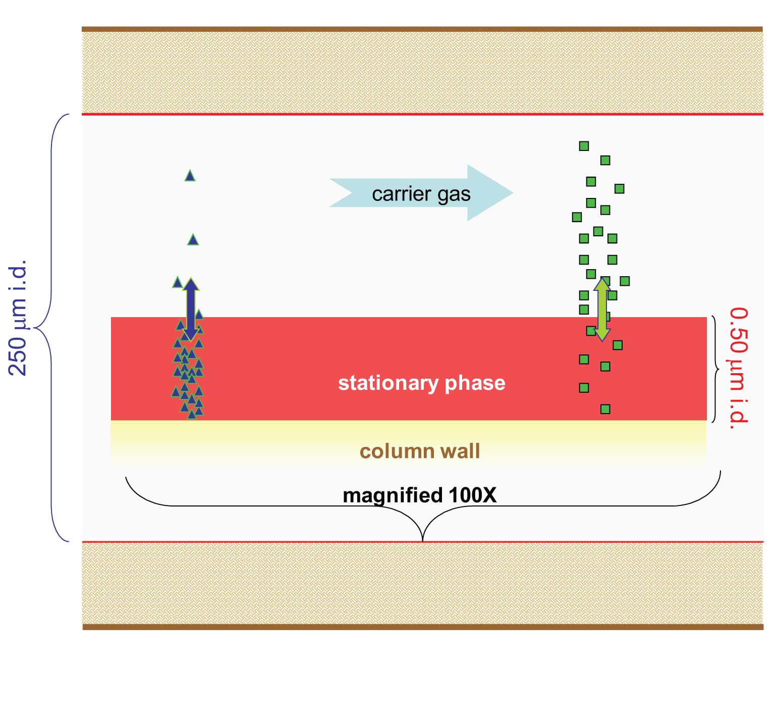 basis-of-interactions-in-gas-chromatography-part-1-non-polar